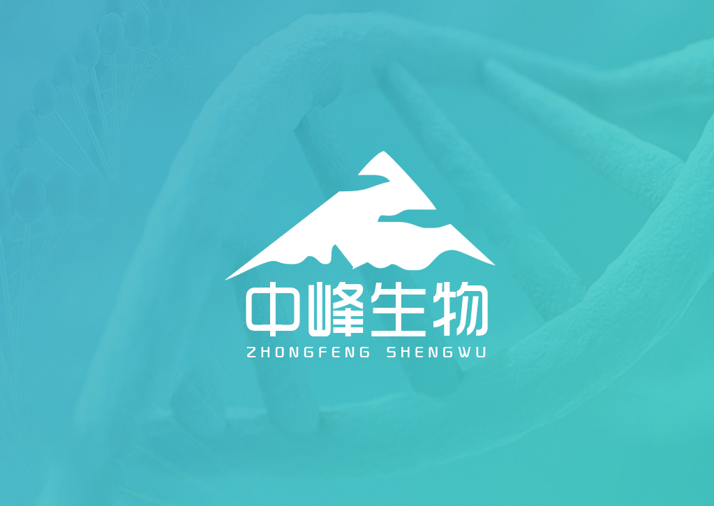 &#20080;&#29699;&#45;&#20080;&#29699;&#65288;&#20013;&#22269;&#65289;